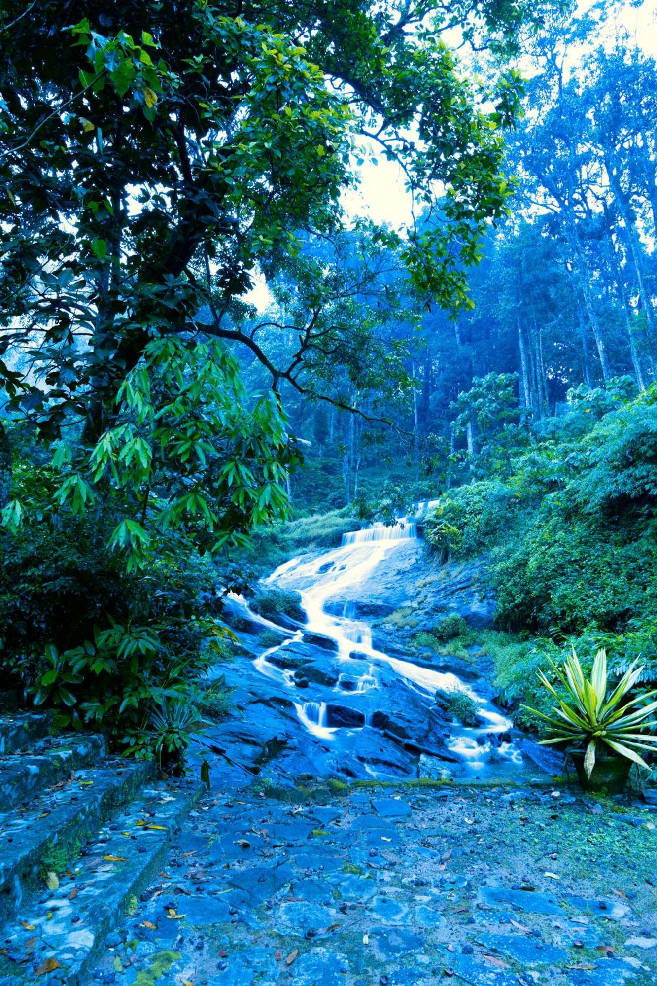 Falling Waters Munnar Extérieur photo