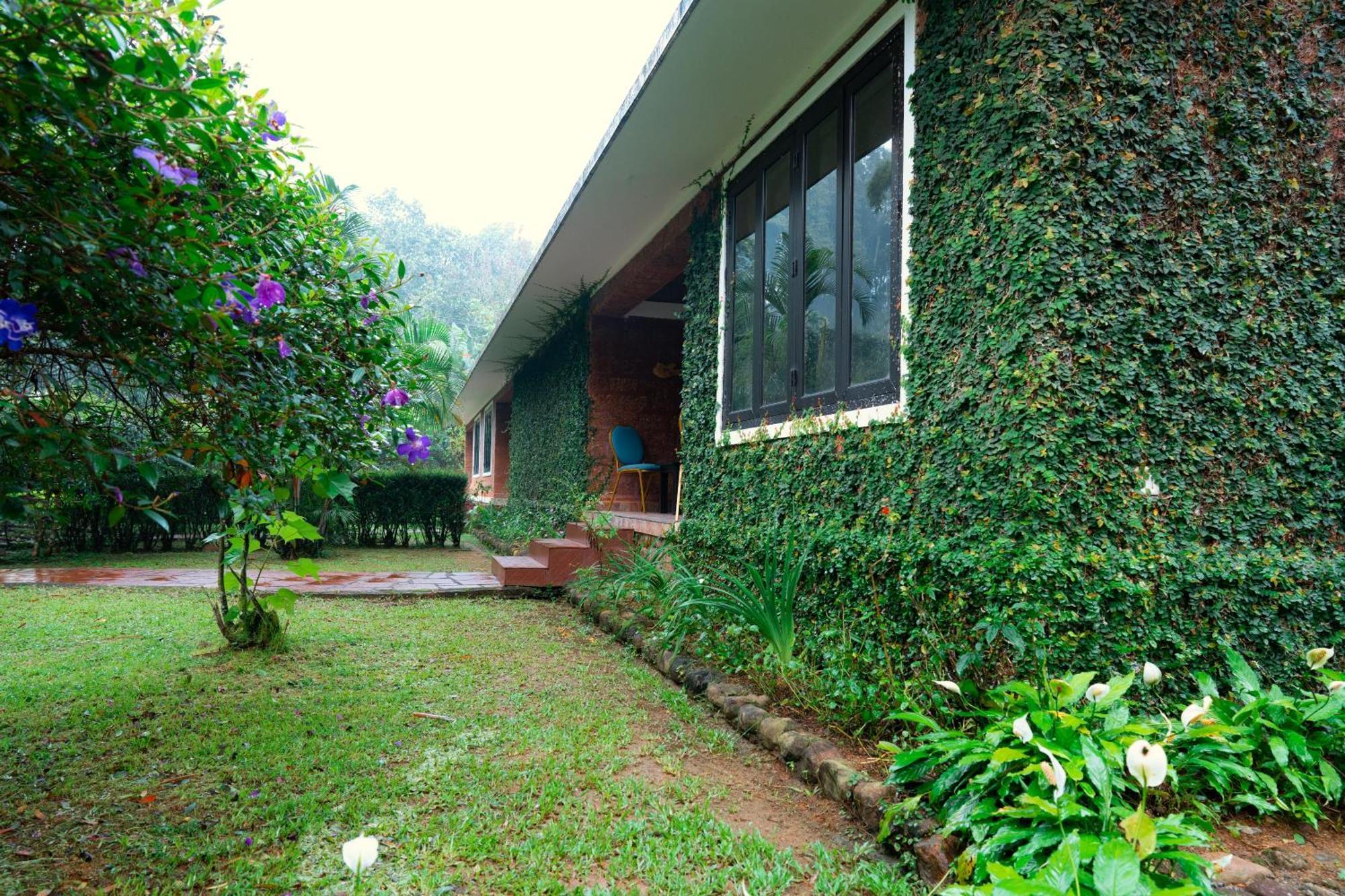 Falling Waters Munnar Extérieur photo