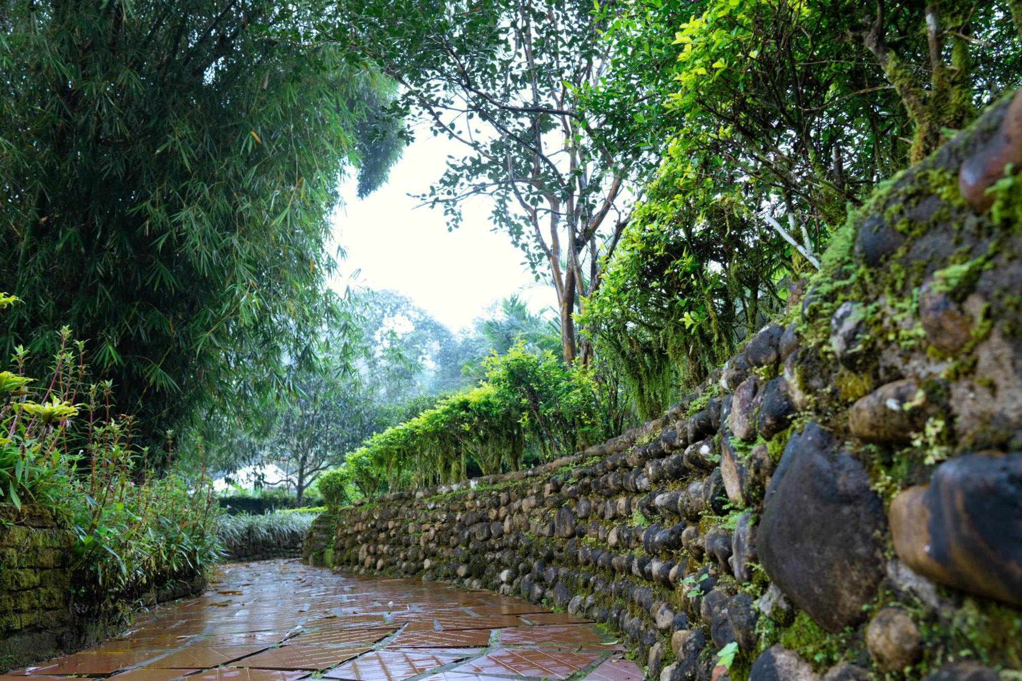 Falling Waters Munnar Extérieur photo