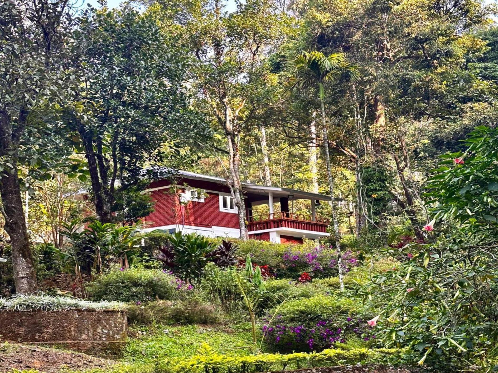 Falling Waters Munnar Extérieur photo